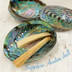 AKa6898貝殻6個内絵入り3個切子皿セット