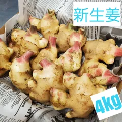 8kg土佐市産土付き囲い生姜 8kg土佐市産土付き囲い生姜
