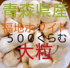 新物　大粒　５００ぐらむ　青森県産福地ホワイト　ばら　青森にんにく直売所