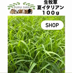 生牧草 夏イタリアン 100g プイプイファームのサムネイル