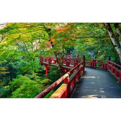 絵画風 壁紙ポスター (はがせるシール式) 森 お宮 日本庭園 森林浴 緑 目の保養 癒し 色彩 キャラクロ SNR-019W2 (ワイド版 603mm×376mm) ＜日本製＞ ウォールステッカー お風呂ポスター