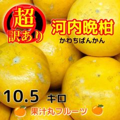 超！訳あり河内晩柑　10.5キロ　不揃い不選別　　フルーツ美生柑柑橘果物ゴールド※北海道沖縄のお客様発送不可になります