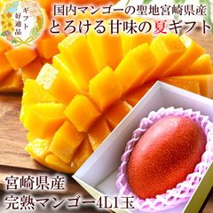 マンゴー 贈り物 内祝い 出産内祝い お祝い 謝礼 お礼 お見舞い 快気祝い お供え ご霊前 手土産ギフト ゴルフコンペ景品 ご結婚お祝い 結婚内祝い 寿 [宮崎完熟マンゴー4L1玉A] 冷蔵便 クール便