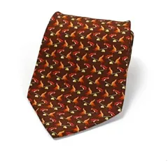 サルバトーレフェラガモ シルク ネクタイ 中古 Aランク Salvatore