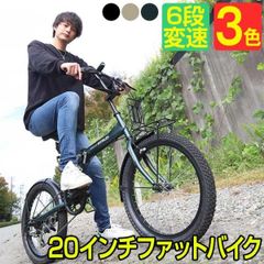 petit oiseau(プチオワゾ) ファットバイク 26インチ - メルカリ