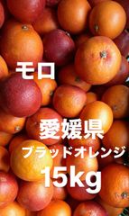 愛媛県産　モロ　ブラッドオレンジ　柑橘　15kg