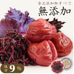 梅干し 無添加 紀州南高梅 なちゅら 塩分9％ 150g お試し 減塩 低塩 しそ 漬 味 完熟梅 大粒 国産 【トノハタ公式】｜ 天然塩 天日塩 マタニティ 妊婦 食品 昔ながら 和歌山 お取り寄せ グルメ 手土産 おすすめ 健康 人気 高級 プチ贅沢