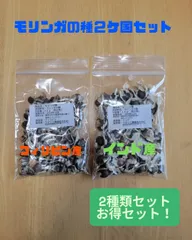 モリンガの種　フィリピン産＋インド産　2か国セット　２０２４年採取