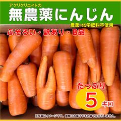 無農薬人参洗いジュース用5kg箱(保存袋プレゼント)