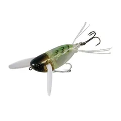 2025年最新】ニチニチフロイジーの人気アイテム - メルカリ