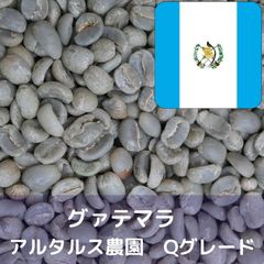 コーヒー生豆 グァテマラ アルタルス農園 Qグレード 1kg