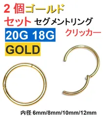 20G 18G ゴールド2個セット セグメントリング クリッカー サージカルステンレス リング ピアス
