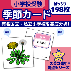 小学校受験　季節カード　季節　きせつ　幼児教育　知育