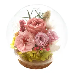 新品 花由 プリザーブドフラワー 枯れない花 (LUMIE - ルミエ/バニラピンク) クリアドーム バブルドーム プレゼント お祝い 記念日 誕生日 母の日