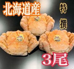 北海道産 冷凍ボイル毛がに 大1尾(420〜450g)×3