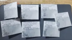 FNつき　オレオケレウス　6種類2株ずつ　12苗セット FNつき オレオケレウス 6種類2株ずつ 12苗セット