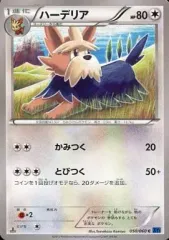 ヨーテリー ハーデリア ムーランド AR 各10枚 まとめ売り ホワイト