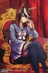 【未開封9冊】ウマ娘 シンデレラグレイ　15冊セット　まとめ売り 2025年最新】うま娘シンデレラグレイの人気アイテム - メルカリ