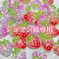 ジョアン様専用