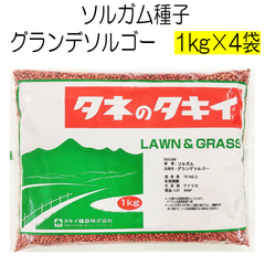 ソルガム種子　グランデソルゴー　4kg　タキイ種苗【種】緑肥の種　夏に強い緑肥