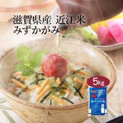 米 精米 滋賀県産 近江米 みずかがみ 5kg 令和6年産 お米 白米 おくさま印 国産 食品 ギフト 引っ越し 挨拶 出産 内祝い 母の日 父の日 お中元 お歳暮 結婚 快気 還暦 香典返し お年賀 送料無料