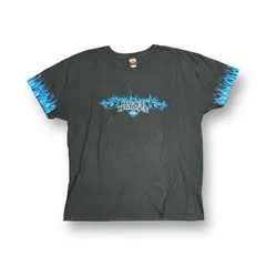 Harley Davidson 2005年製 00s ブルーフレア Tシャツ プリント クルーネック ヴィンテージ  ハーレーダビッドソン ブラック 73000A7
