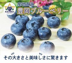 《クール便》数量限定 高級 完熟 ブルーベリー 無添加 品種MIX約480g（1箱4P入）千葉県産 贈り物 贈答品 ギフト 産地直送 詰め合わせ フルーツ 果物 青果 養液栽培 blueberry オーガニック ブルーマジック
