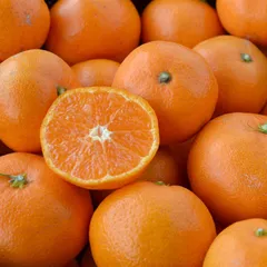 みかん 小玉（3S-Sサイズ） 10kg（箱込約10kg）和歌山県産 訳あり・ご家庭用