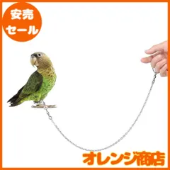 POTATO 鳥用ハーネス インコ専用鳥の足輪 リード ハーネストカゲ小動物用アウトドア お散歩 迷子防止 足チェーン リーシュ 運動不足 ウォーキング インコトレーニング縄 足リング(足リング内径6ｍｍ)