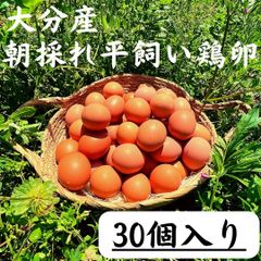 30個入　宮下養鶏の朝採れ平飼い卵　大分県産