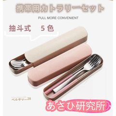カトラリーセット お弁当 携帯用カトラリーセット 5色 お箸 スプーン フォーク セット お弁当 ユニセックス ランチグッズ 抽斗式 軽量 便利