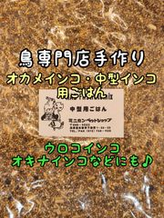 Item thumbnail for item 03edd618-417c-4380-ae7b-f244f0f49896