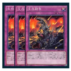 ◇生存競争 3枚セット 遊戯王 3枚セット 遊戯王