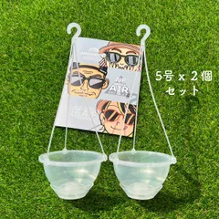 ネガミエル エアー 5号鉢 2個セット 透明吊り鉢 NEgamieru 浅岡園芸 プラスチック クリア ハンギング 根が見える 鉢 観葉植物のサムネイル