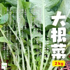大根菜、大根葉、大根の葉　☆農薬や化学肥料は使っておりません　埼玉県産　約２kg　※少し虫食いの跡があります