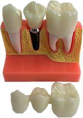 Item thumbnail for item 12c13864-c2ff-4f29-8ee6-86436fea7750