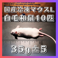 冷凍マウス専門店CHUCHU - メルカリShops