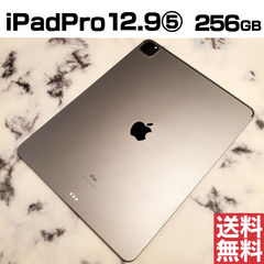 [No.My431] iPadPro12.9⑤ 256GB【バッテリー99％】