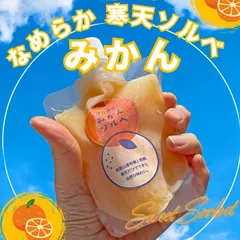 冷凍アイス　寒天ソルベ みかん2個(150g) 和歌山みかんのサムネイル