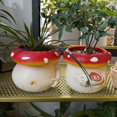 鉢植え 植木鉢 プランター プラントポット フラワーポット ガーデニング コーヒーを飲んでいるキノコ 太っているキノコ きのこ 2種類