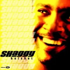 2025年最新】SHAGGY レコードの人気アイテム - メルカリ