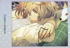 【中古】キャラカード 岡崎契(横型) 「Collar×Malice POP UP SHOP インスタントフォト風ブロマイド vol.3」