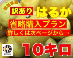 はるか10キロ  省略購入プラン