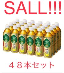 ヘルシア緑茶 うまみ贅沢仕立て ラベルレス 500ml×48本