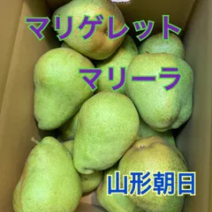 2025年最新】洋梨の人気アイテム - メルカリ