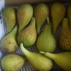いちじく