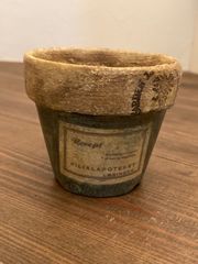 green leafのリメイク鉢♡シャビー鉢2.5号⑤