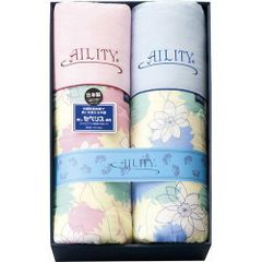東レ AILITY 掛け布団 肌布団 2枚セット 日本製 抗菌防臭 - メルカリ