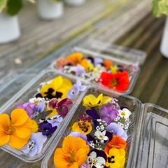 エディブルフラワー　食用花　花のみ　3パック