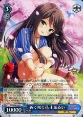 [중고]바이스슈바르츠 GF/W33-124[R]:가까이 피는 꽃 카미죠루이